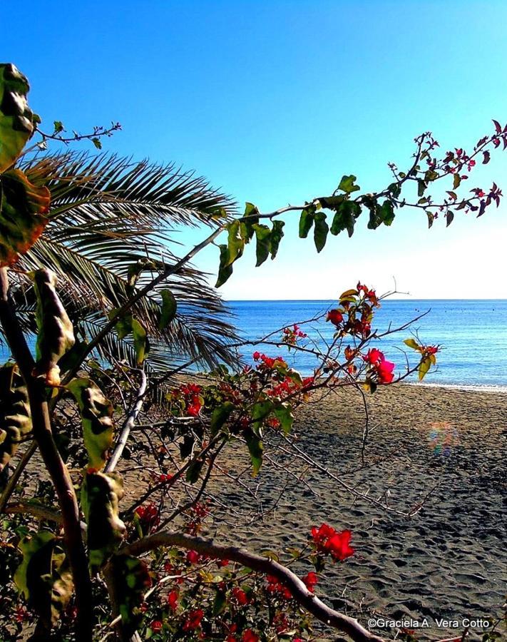 La Palmera. El Amanecer En El Parque Natural Agua Amarga  Luaran gambar